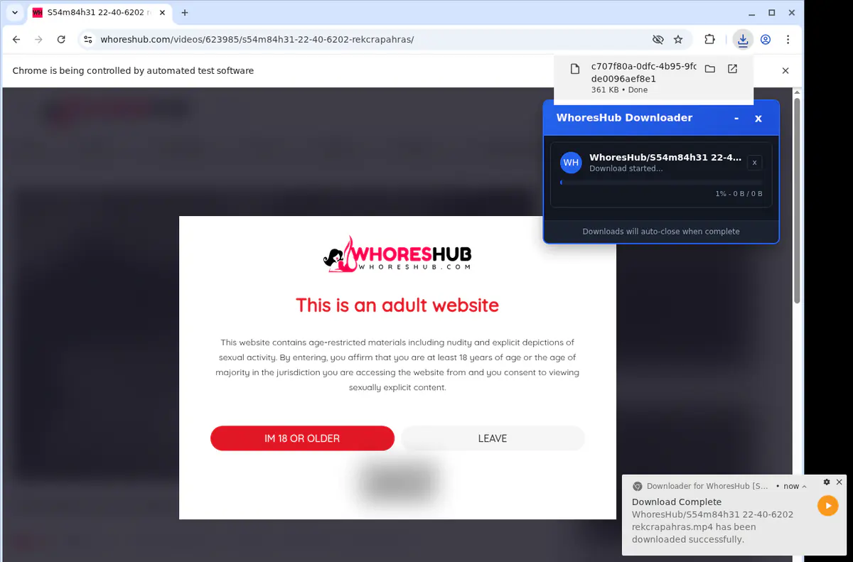 Whoreshub Video Downloader screenshot 2