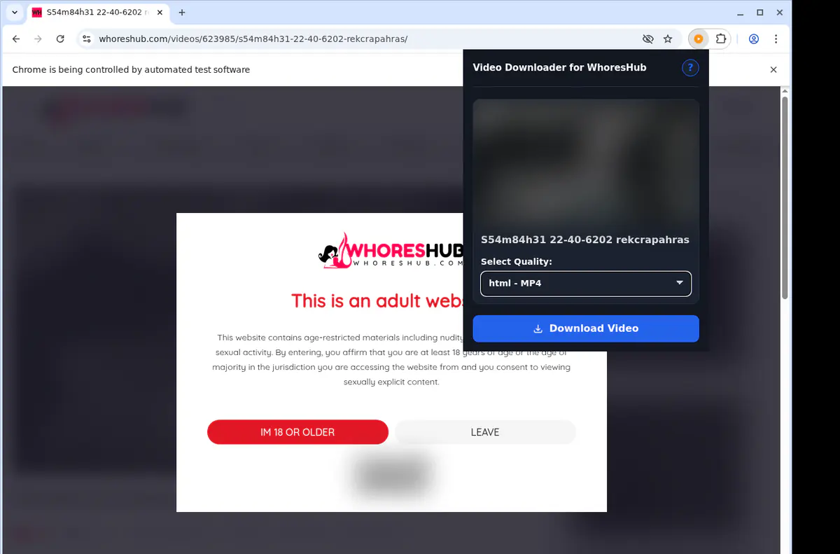 Whoreshub Video Downloader screenshot 3