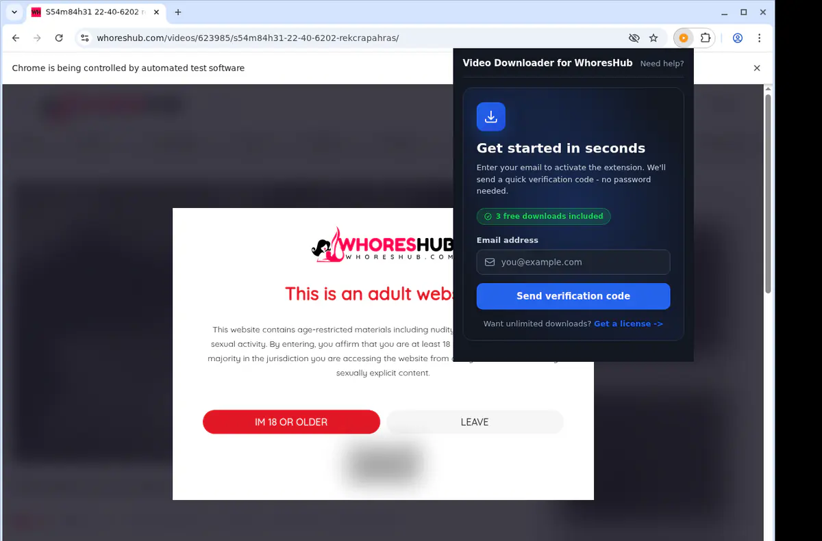 Whoreshub Video Downloader screenshot 5